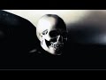 Accept - Dogs on Leads (Song)