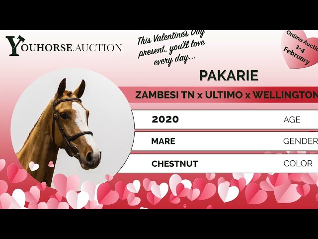 Pakarie flatwork