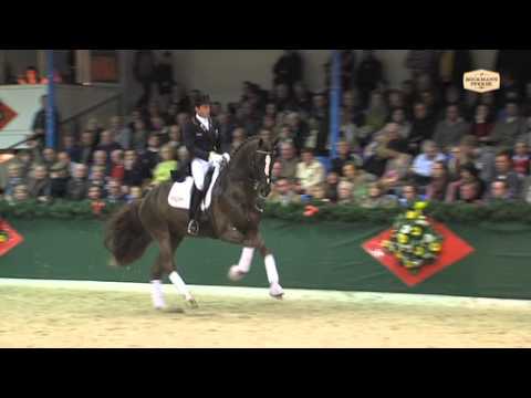 Floriscount v. Florencio I - Donnerhall, Hengstvorführung Vechta 2013 - Böckmann Pferde