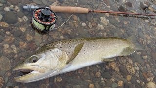 preview picture of video 'NEW ZEALAND WILDERNESS SMALL STREAM'