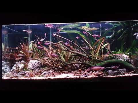 180l Gemeinschaftsbecken