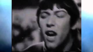 The Animals ::: Let The Good Times Roll.