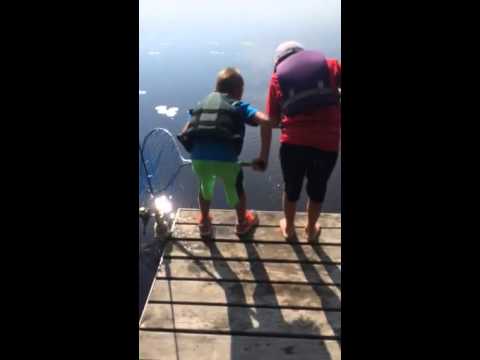 download lagu mp3 mp4 Salmon Showdown 2016, download lagu Salmon Showdown 2016 gratis, unduh video klip Salmon Showdown 2016