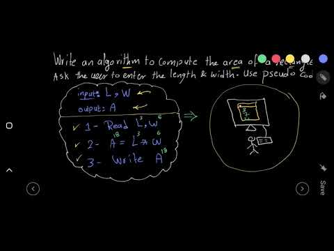 Programming Level 0 Lesson 06 Algorithm example 01 rectangle area