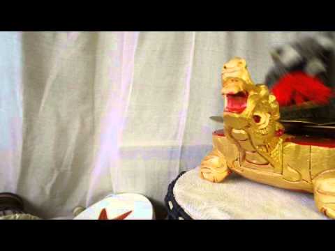 Raccoon Plays The Ceng-Ceng Turtle