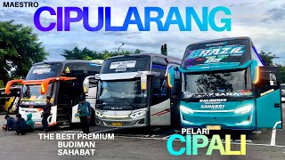 Download lagu Primajasa Tasik, Primajasa Kuningan entered the Kalideres wet lane 😱 Will there be friction later??! mp3 Download lagu Primajasa Tasik, Primajasa Kuningan entered the Kalideres wet lane 😱 Will there be friction later??! mp3