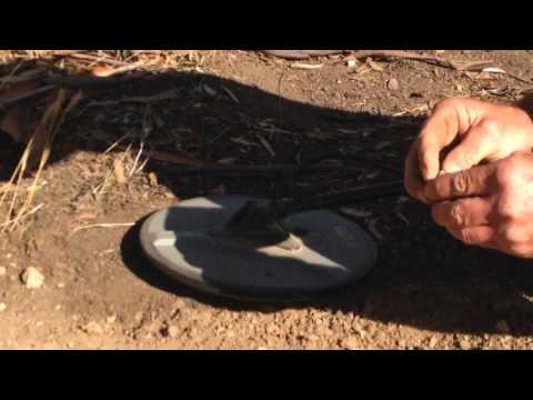 customer finding gold on tour March 25th