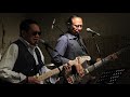 Not Alone Anymore, Traveling Wilburys, cover by YM Blues Band.