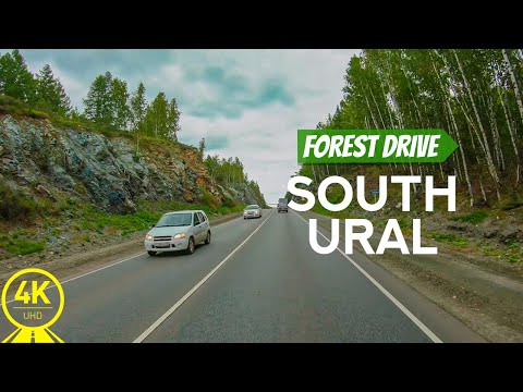 From the Deep Forest - Best for Indoor Cycling - 4K Scenic Drive through the Forests of South Ural
