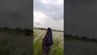 Download lagu koi tum sa nahin ☺️💖#lovestatus #views #youtube #shortvideo #comments #share #likes #subscribers mp3