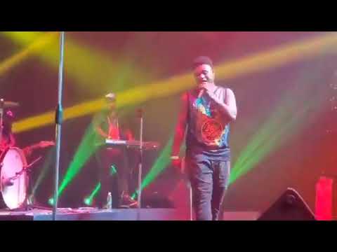 Rena (Cammy Bee Life)