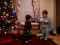 Babies Playing With Christmas Tree