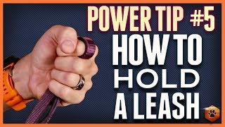 How to Hold a Leash Like the Pros!