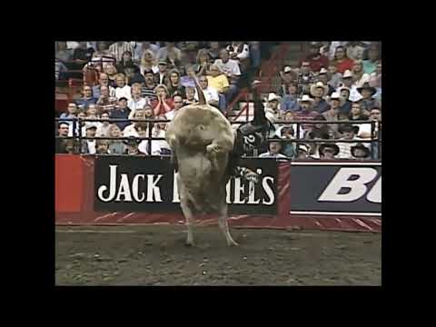 Honker bucks Pete Hessman - 99 PBR Spokane