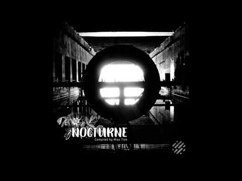 Dirty Groove & Karmaa - It's Not Christmas (Original Mix)