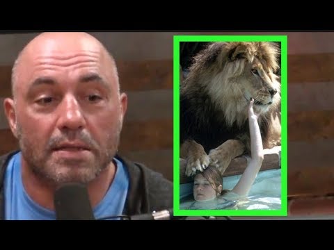 Joe Rogan - Melanie Griffith Had a Pet Lion