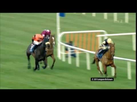 Yorkhill Leopardstown Gd3 Novice Chase