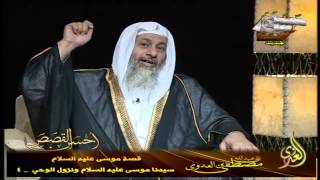 أحسن القصص 26 سيدنا موسى عليه السلام ونزول الوحي    4