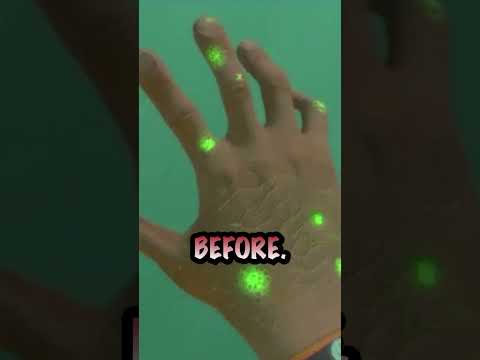 What if the Sunbeam Landed Safely on planet 4546B? #gaming #subnautica #theory