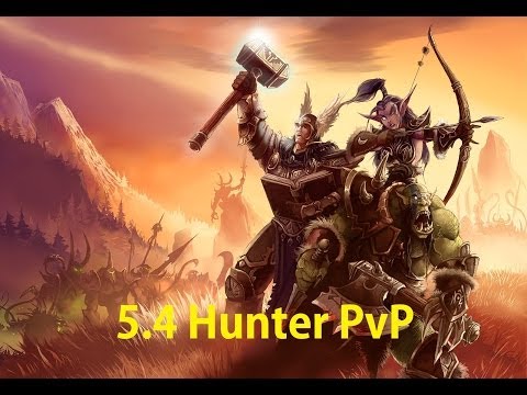 5.4 BM Hunter PvP - Don't daze me bro - Patch 5.4