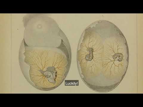 Peter Panum: He turned medicine into science