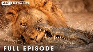 The Most Dangerous Predators of the African Wild | FULL EPISODE | Wildlife Documentary