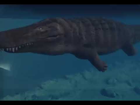 Mioceno en Falcón: el legado imborrable de Urumaco 