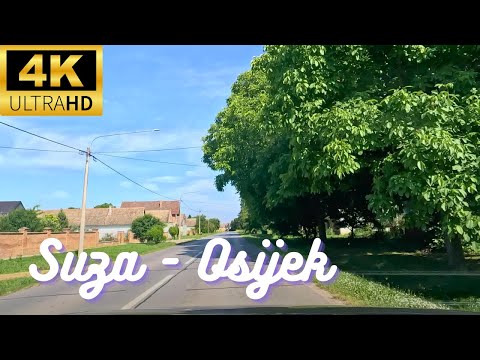 Baranja 🇭🇷 : Suza - Lug - Bilje - Osijek | Vožnja / Drive (4K)