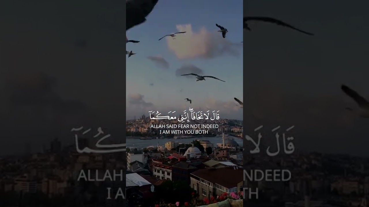 "إنني معكما أسمع وأرى.. تلاوة تزرع الطمأنينة في قلبك"