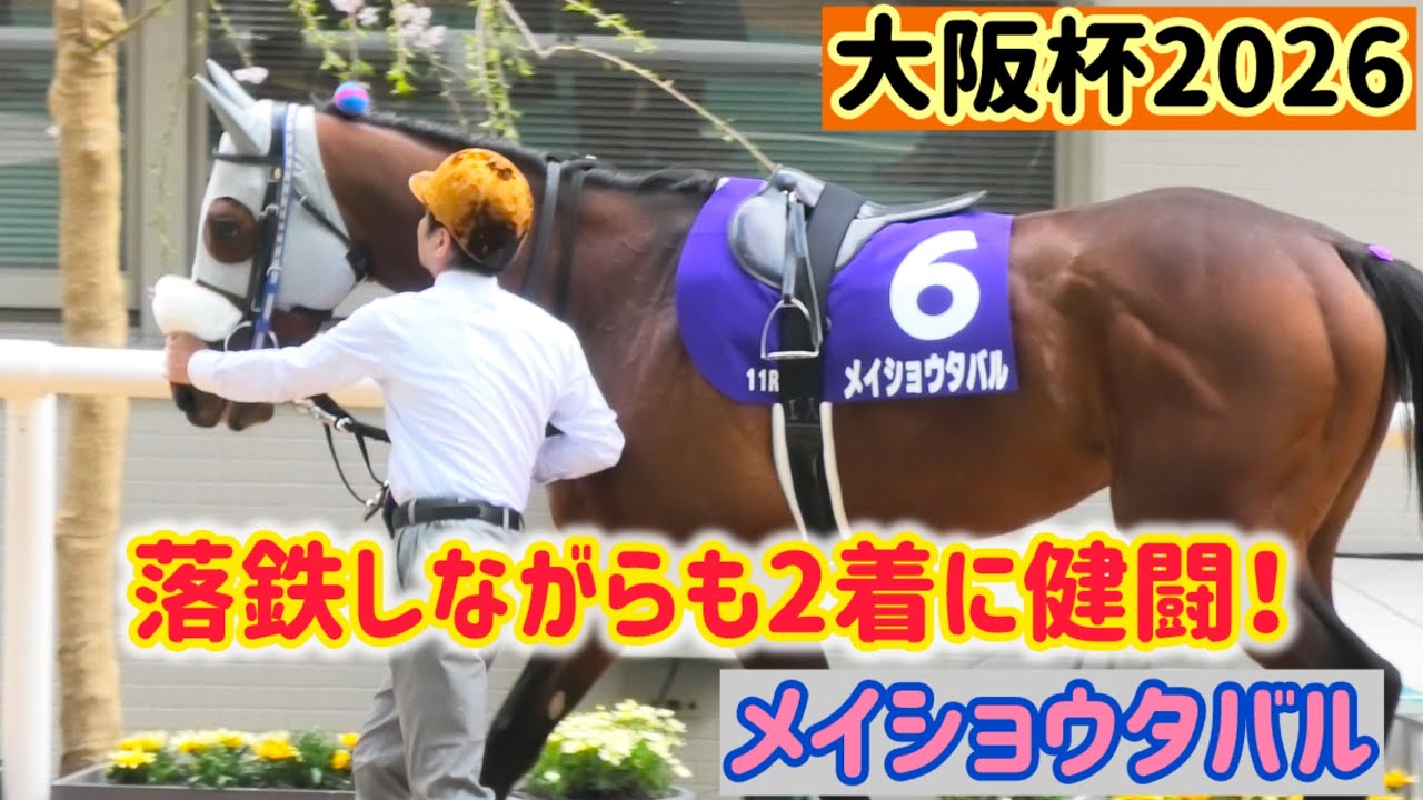 【大阪杯2026】2着に頑張ったメイショウタバル【ゴールドシップ産駒】