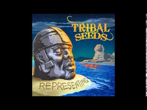 Tribal Seeds- Representing Feat  Vaughn Benjamin (Midnite) Representing 2014 )