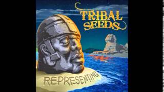 Tribal Seeds- Representing Feat  Vaughn Benjamin (Midnite) Representing 2014 )