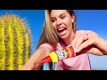 Is My Pushpop SHARPER Than A Cactus