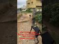 Street Fight ‍ Streetdog Dogfight Doberman Trending Straydogs