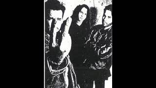 The God Machine - Sweden 14/8/93 full gig.