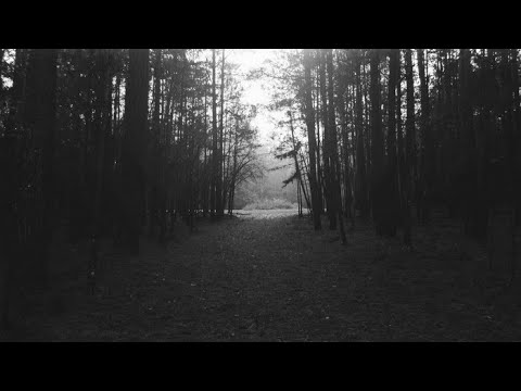 Franck Pourcel Grand Symphonix Orchestra - Morir De Amor