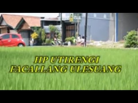 video-bugis-lucu-viral-hp-utirengi-facallang-ulesuang-1