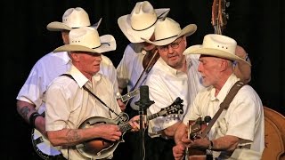 &#39;who will sing for me&#39; - New Essex Bluegrass band