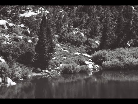 college vlog 2 - check it