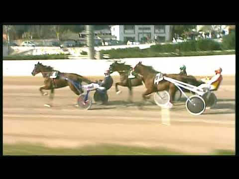 Trotto 23/02/2020 - 2ª corsa