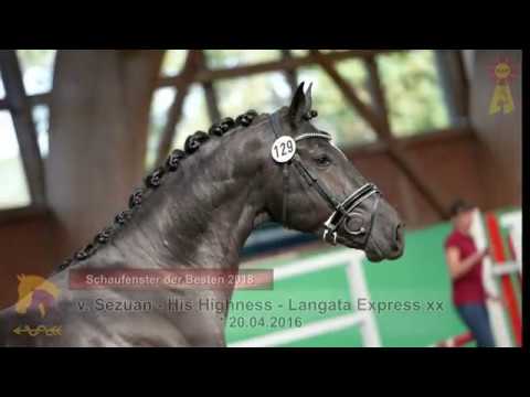 24. Sezuan - His Highness