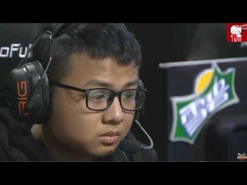 High Light SS Sofm. Jungle of Snake Sport