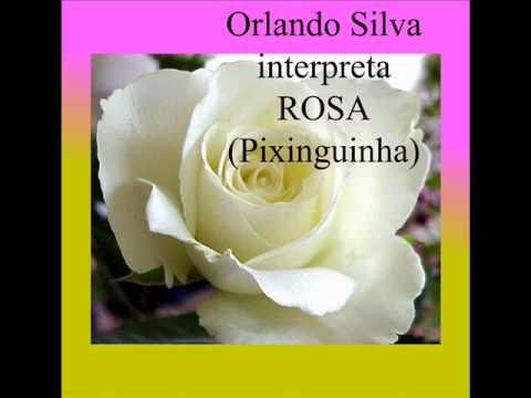 Rosa video