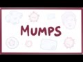Mumps - symptoms, diagnosis, treatment, pathology