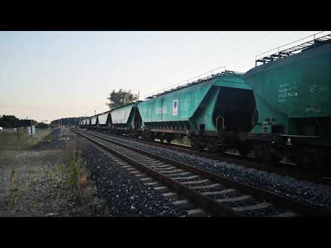 Tren 80642 Carpinis - Constanța Port Zona B & R 7037 București Nord - Urziceni la Mogo, 07.08.2020