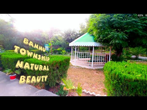 Natural Wonders Bannu Township birds Home(4k)