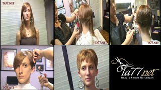 TA77.net video trailer - Mirela SX