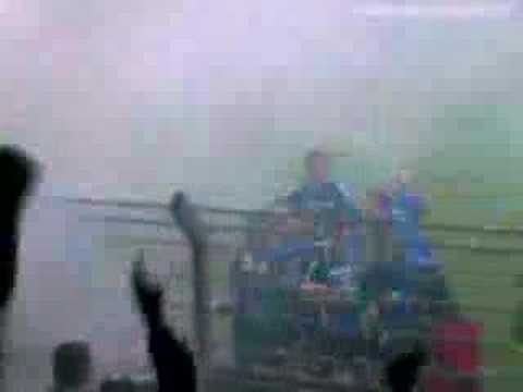 Rupel Boom - Wijgmaal