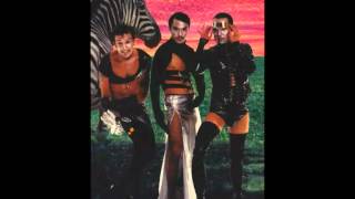 Regurgitator - In One Ear And Out The Other (live)