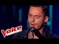Bruno Mars – When I Was Your Man| Maximilien Philippe | The Voice France 2014 | Blind Audition
